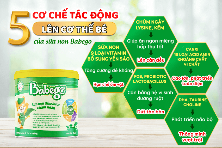5 cơ chế tác động của sữa non Babego