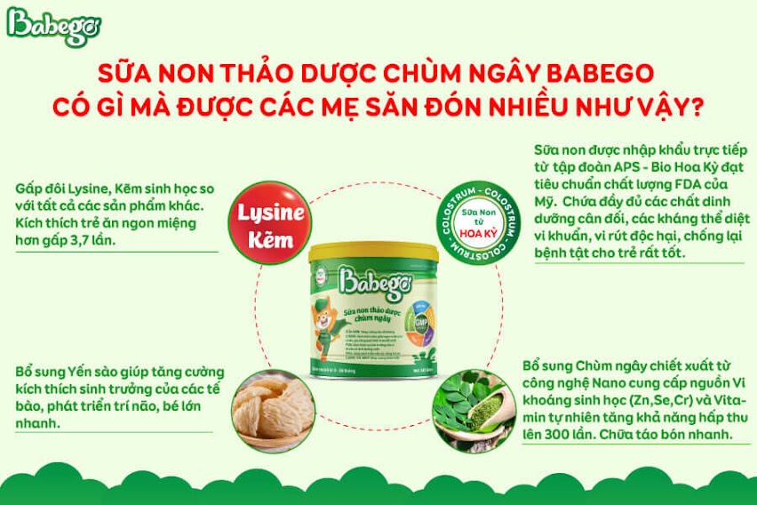 Thành phần chính trong sản phẩm sữa non thảo dược chùm ngây Babego
